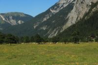 2015-07-01_1Pano-bei-Lacke (125).JPG